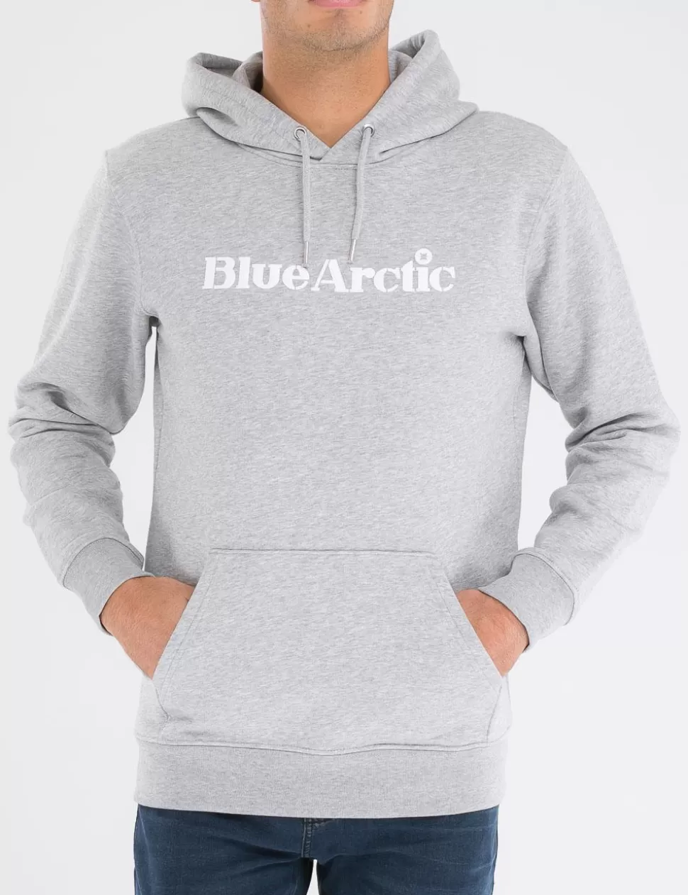 Blue Arctic Felpe>Felpa Con Cappuccio Grigio