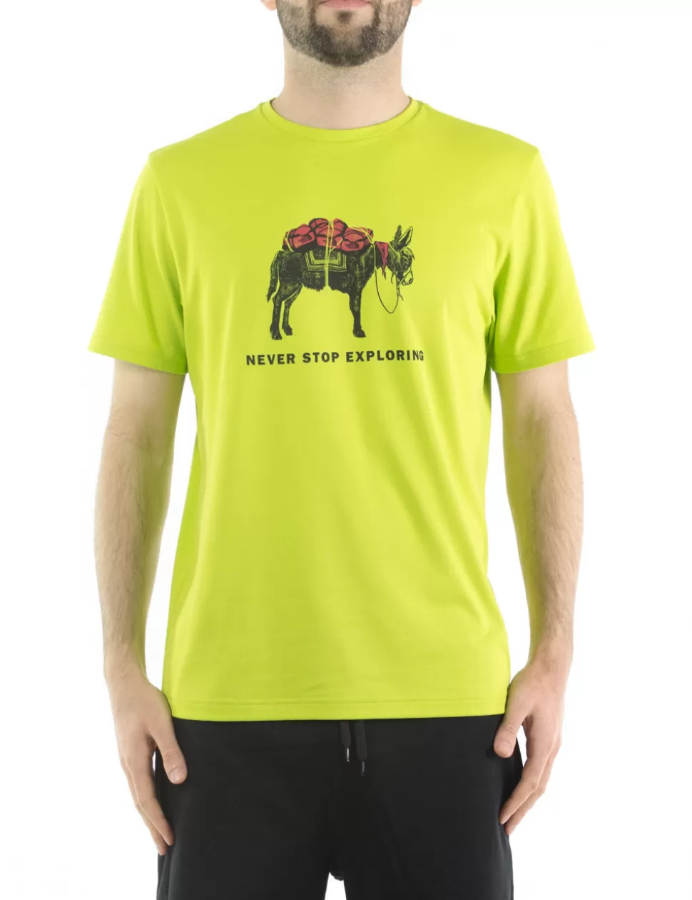 The North Face T-Shirt>T-Shirt Verde