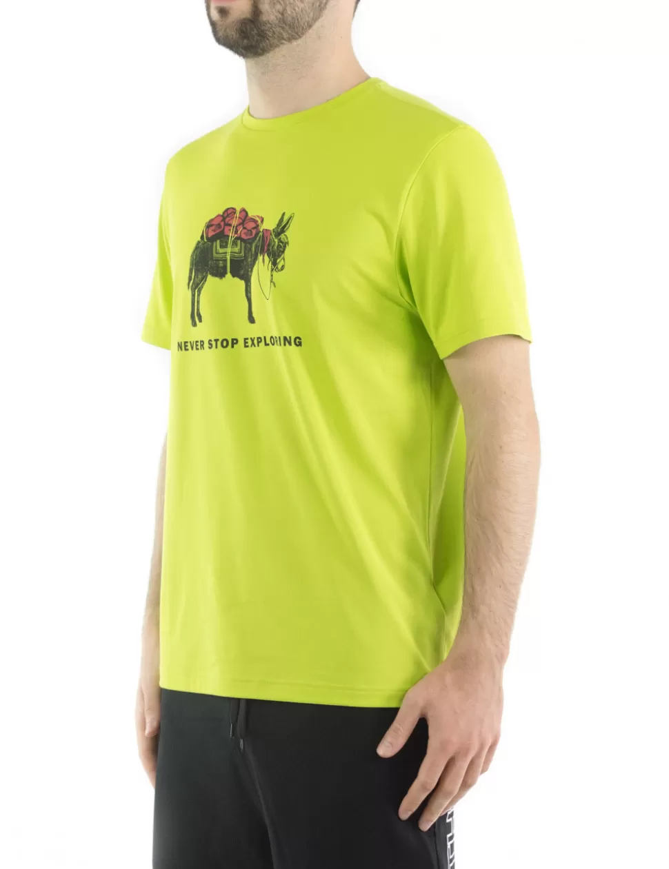 The North Face T-Shirt>T-Shirt Verde